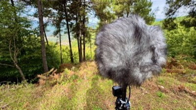Sierra de Gredos — field recording