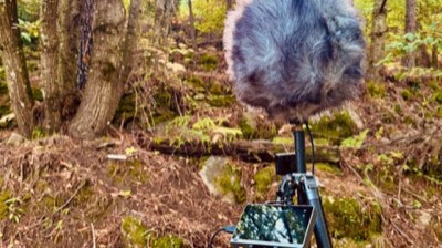 Sierra de Gredos — field recording