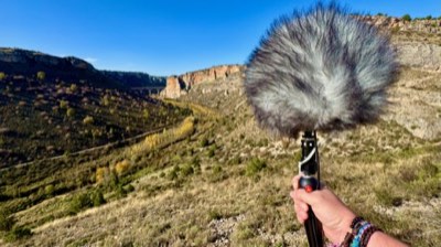 On location in nature — field recording