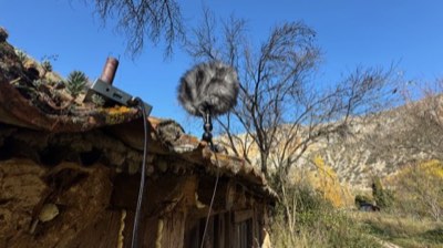 On location in nature — field recording