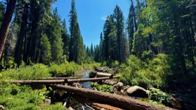 Yosemite — Merced River — field recording