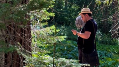Yosemite National Park — field recording