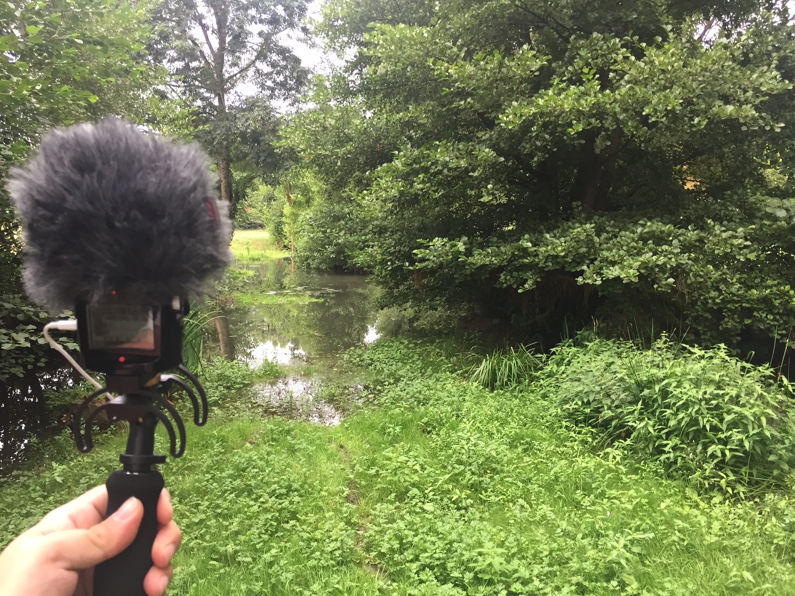 SSL19 French Countryside — field recording
