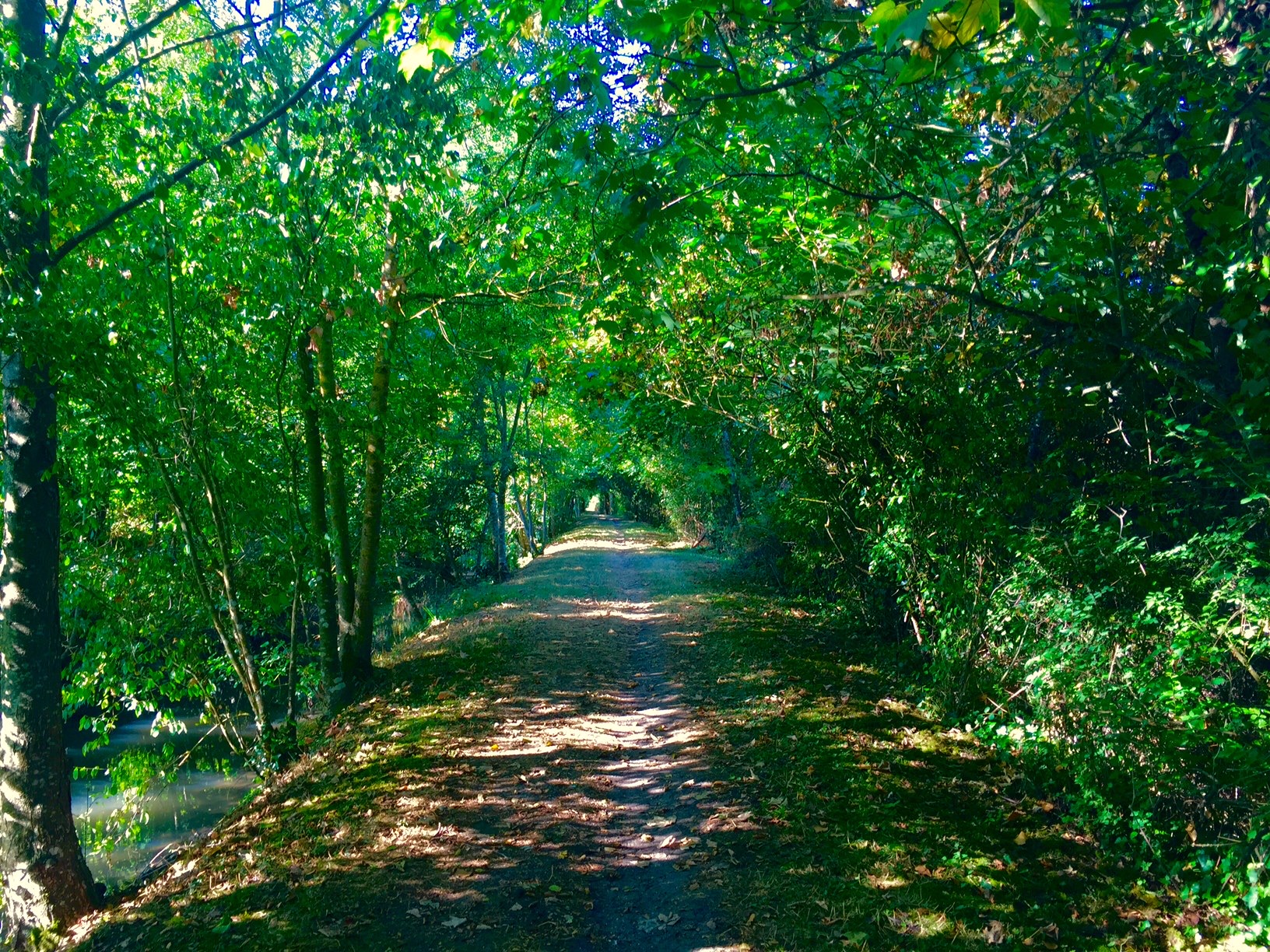 SSL19 French Countryside — field recording