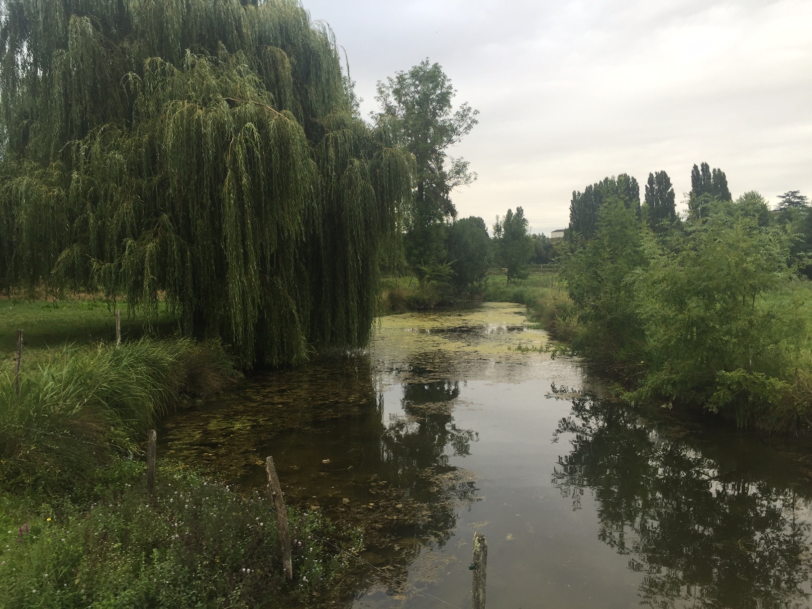 SSL19 French Countryside — field recording