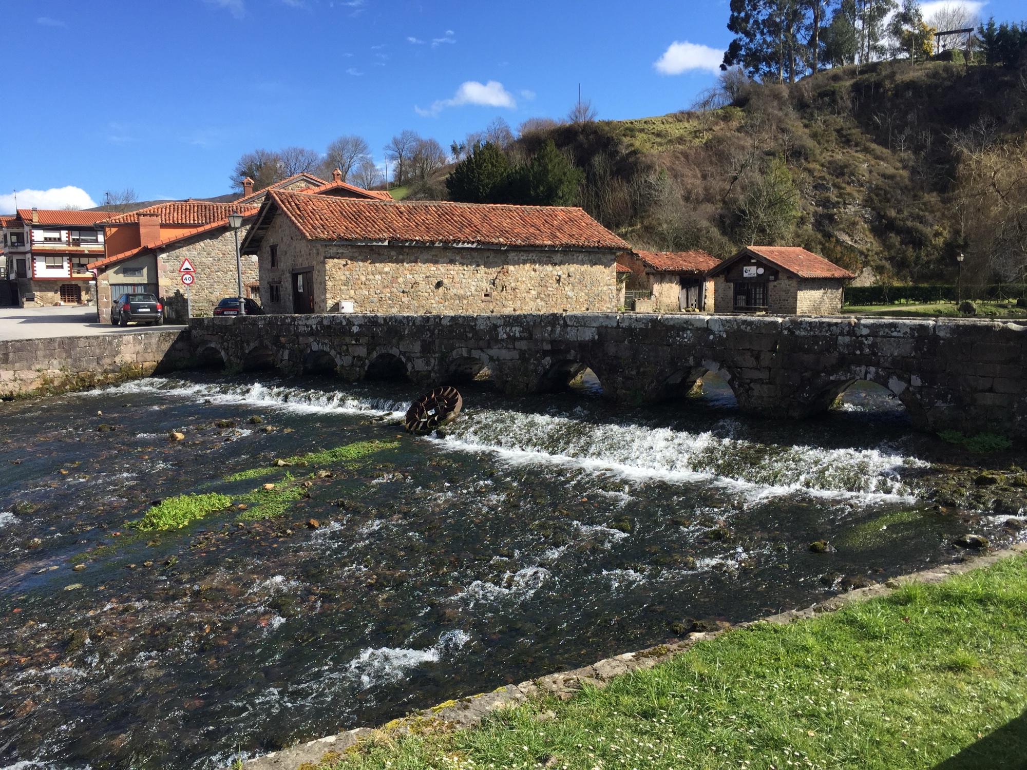 SSL25 Cantabria & Asturias Nature — field recording