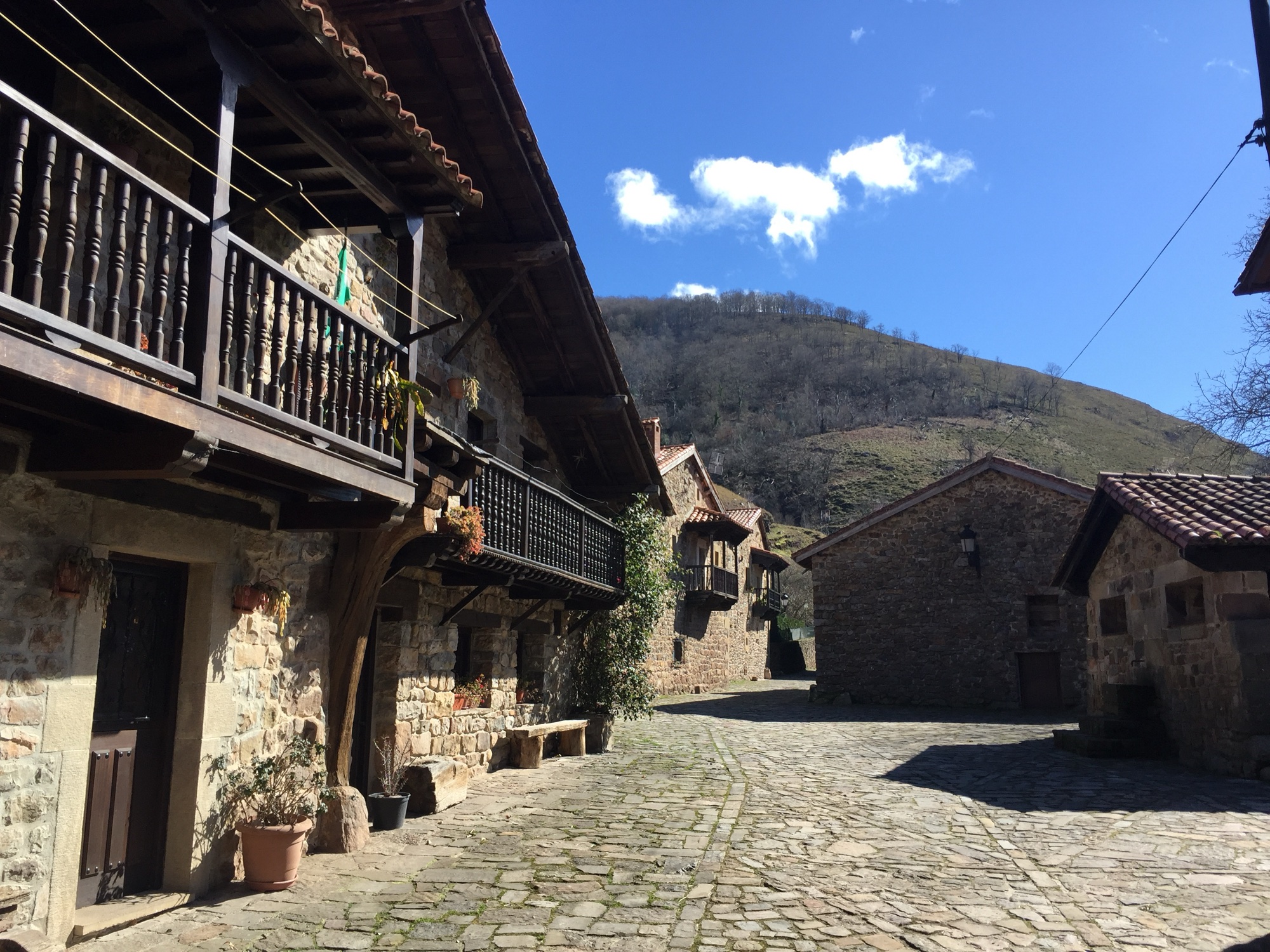 SSL25 Cantabria & Asturias Nature — field recording