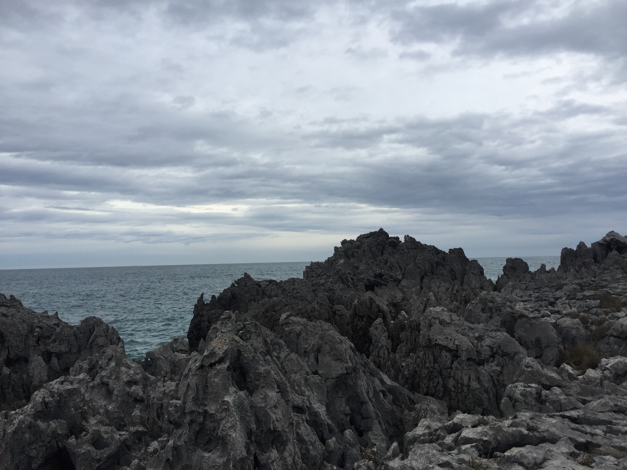 SSL25 Cantabria & Asturias Nature — field recording