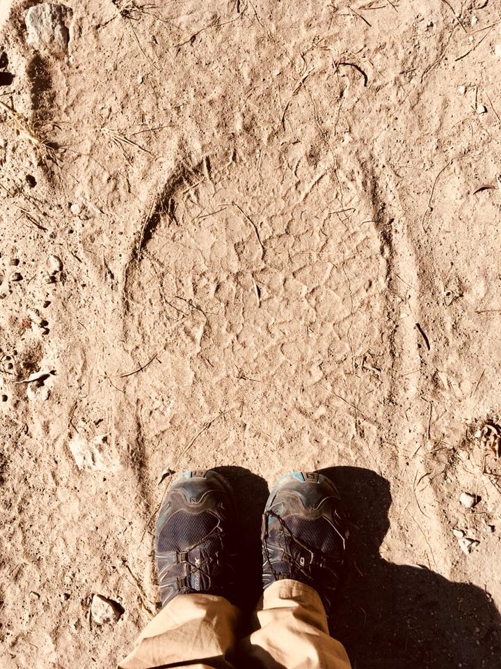 SSL27 Namibia Desert & Ocean — field recording