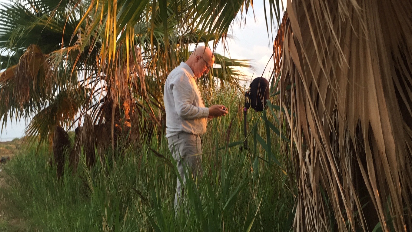 SSL29 Ebro Delta National Park — field recording