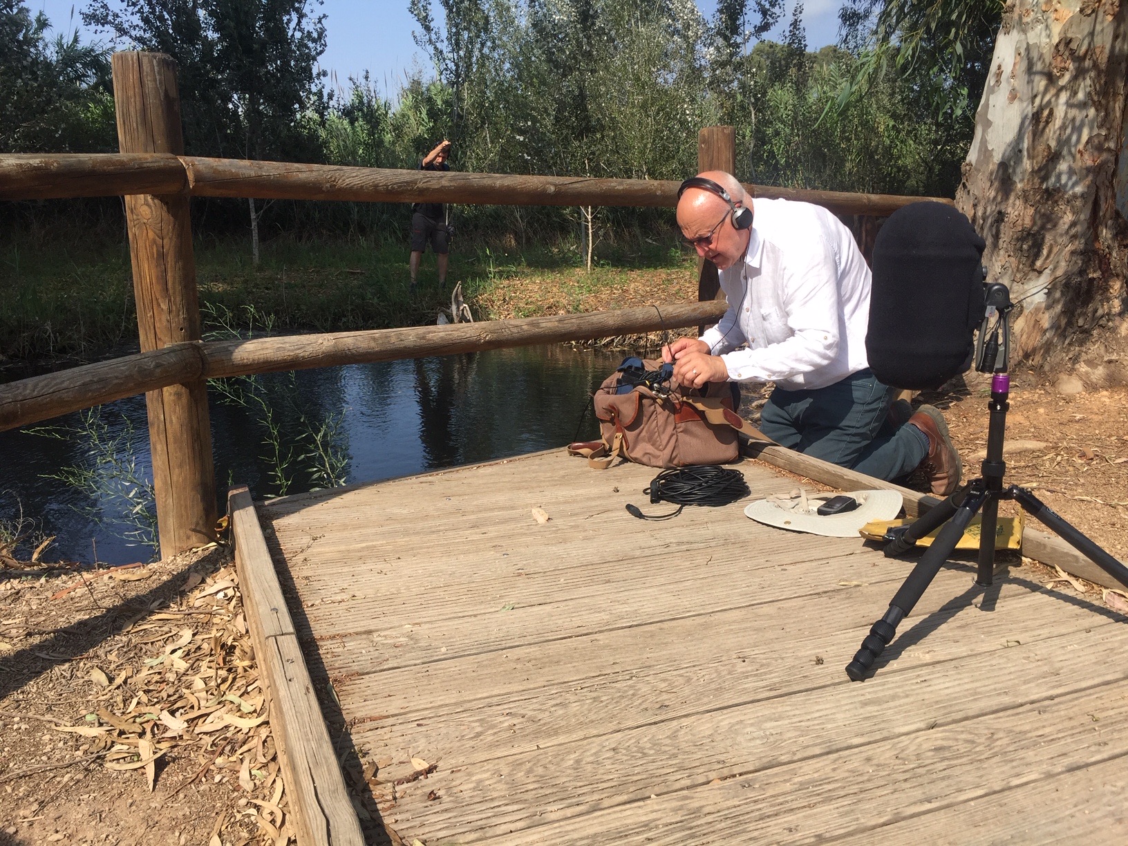 SSL29 Ebro Delta National Park — field recording