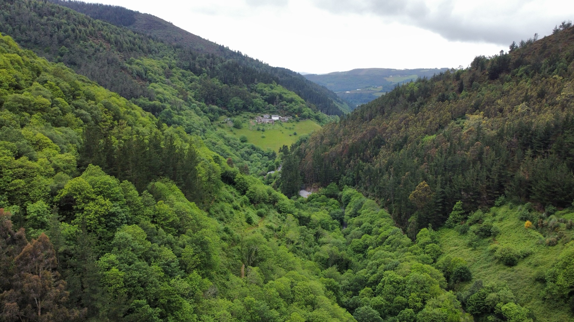 SSL41 Immersive Spanish Nature — field recording