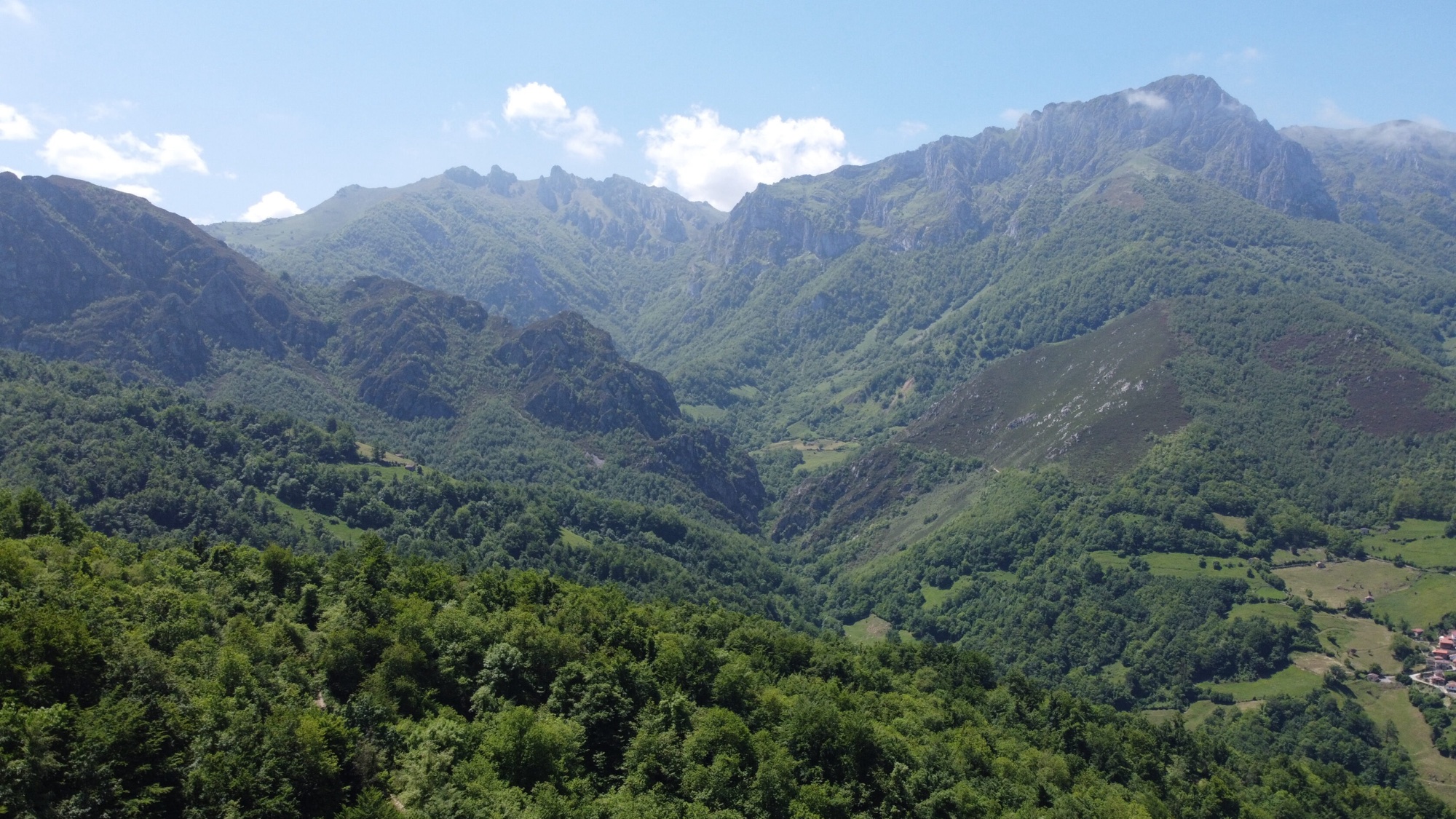 SSL41 Immersive Spanish Nature — field recording