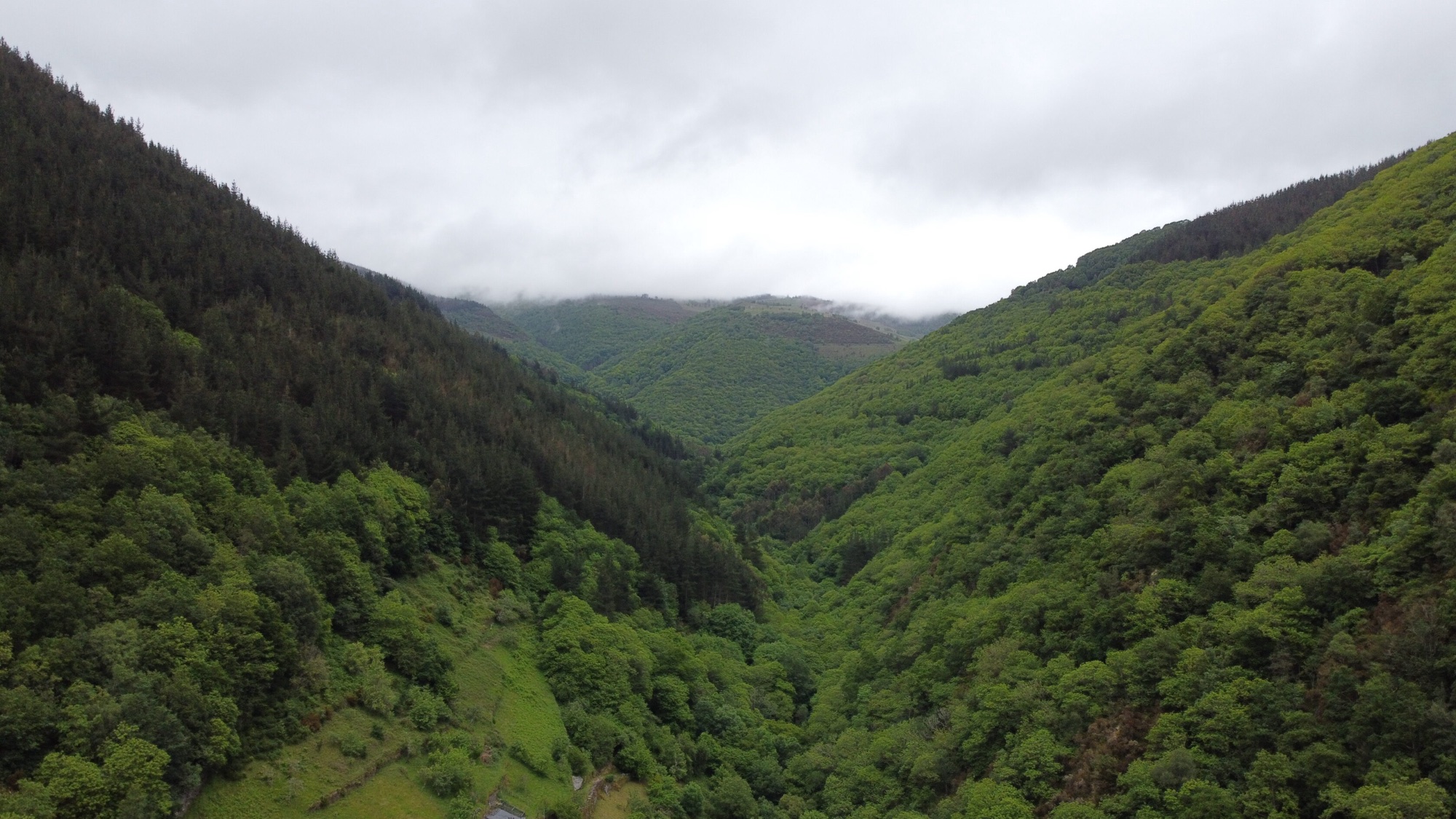 SSL41 Immersive Spanish Nature — field recording