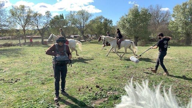 SSL43 Raw Horses — field recording