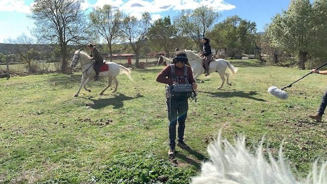 SSL43 Raw Horses — field recording
