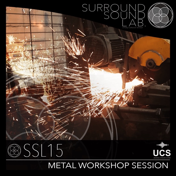 SSL15 Metal Workshop Session