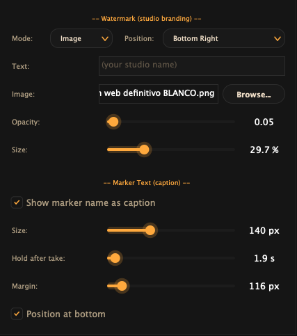 The Watermark section of Overlay Settings with its mode, position, opacity and size controls